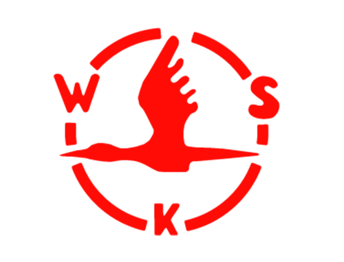 Taller-Aeronatico---WKS